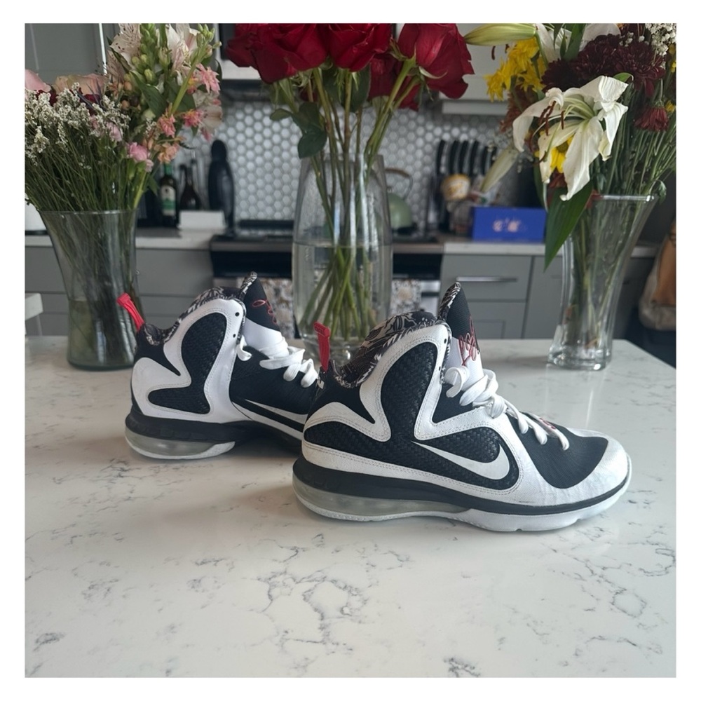 Nike Lebron 9 FreeGums 2011 - Size 7Y